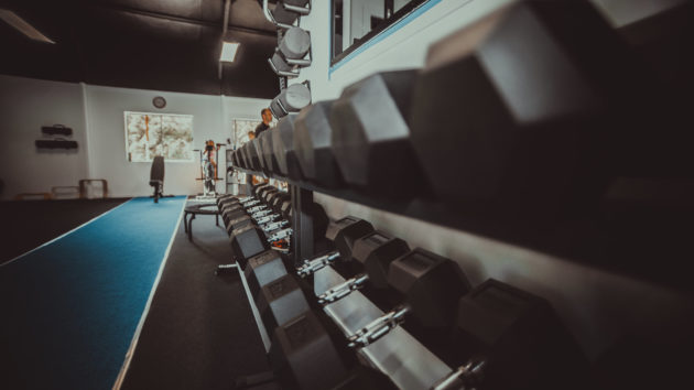 Exercise Physiology Samford
